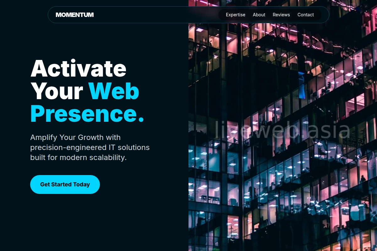 Momentum It Consulting